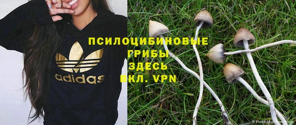 гашиш Белокуриха